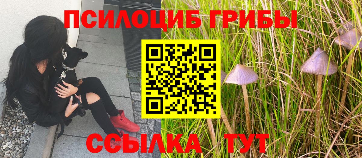 Барабинск  Псилоцибиновые грибы ЛСД  Вход с VPN 